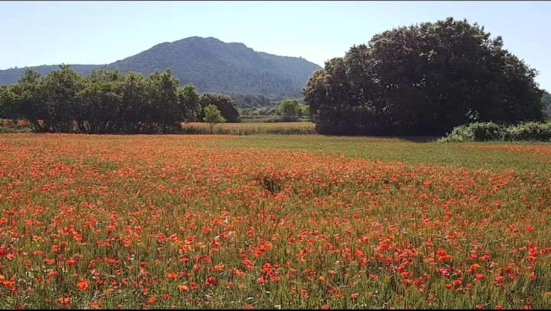 Bastide De L'Oliveraie Avec Jacuzzi Jouques 外观 照片